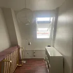Classic Brown Stone Appartement